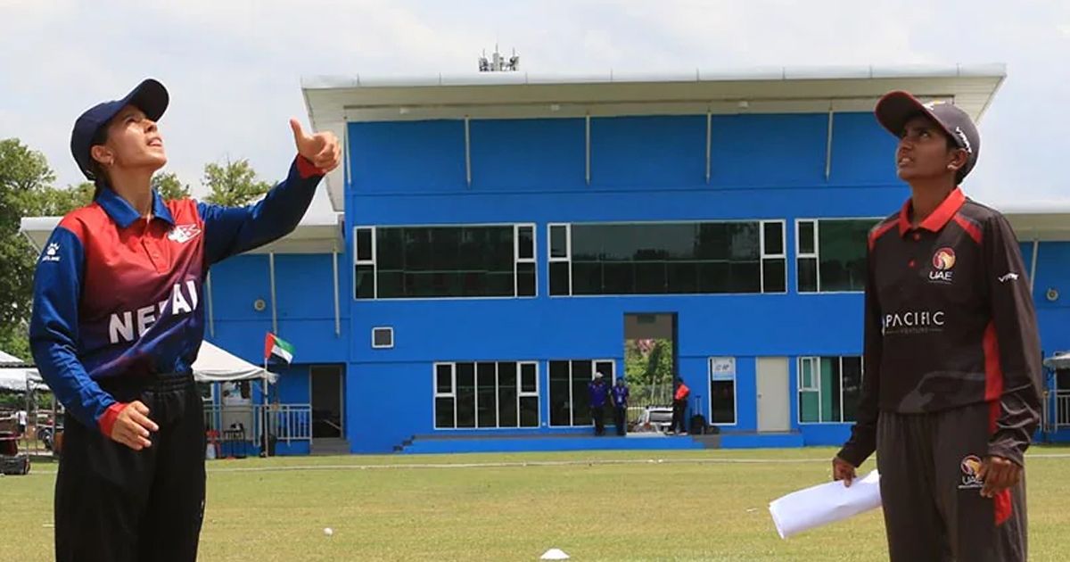 আউট